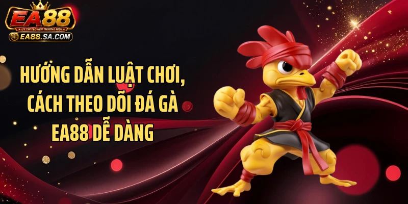 Hướng dẫn luật chơi, cách theo dõi đá gà EA88 dễ dàng