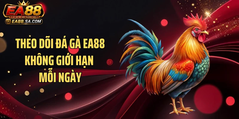 Theo dõi đá gà EA88 không giới hạn mỗi ngày